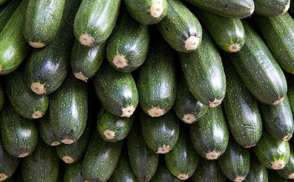 Le Maroc brille sur le marché des courges
