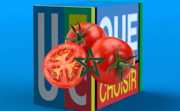 Tomates marocaines : À quoi joue l’association française UFC-Que Choisir ?