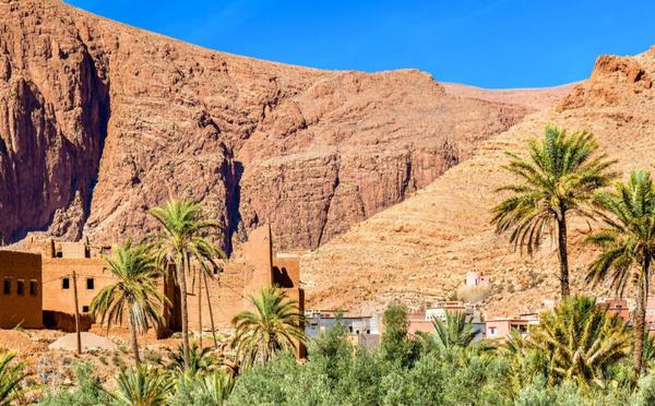 La production prévisionnelle des dattes s’élève à 160 000 tonnes