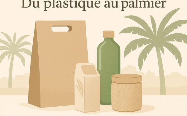 Du plastique au palmier : les nouvelles innovations marocaines pour un emballage durable