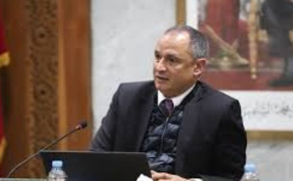 ​Le Maroc, modèle de l'industrialisation africaine : une réussite du "Made with Africa"