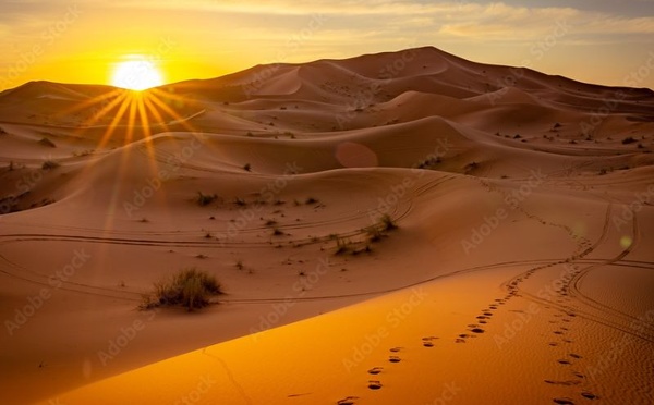 🎵 Sahara Marocain : L'Aube d'Octobre 2025