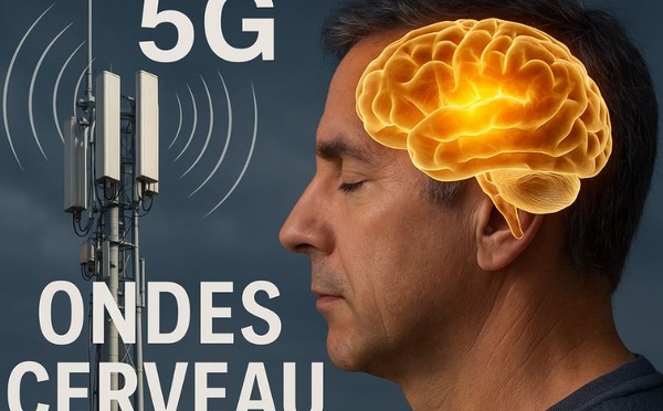 La 5G : ​Le cerveau humain exposé aux ondes : que sait-on scientifiquement ?