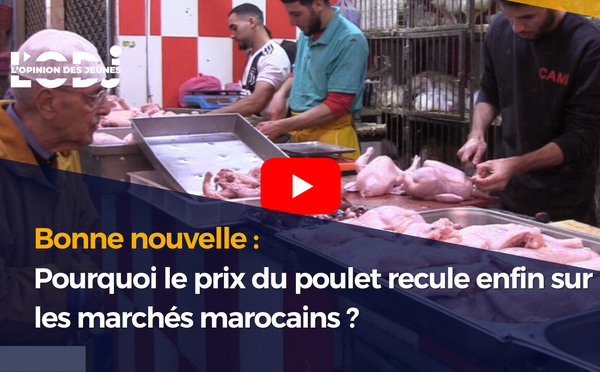 Pourquoi le prix du poulet recule enfin sur les marchés marocains ?