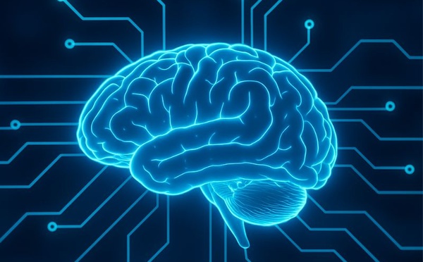 Cerveau sous tension : comment l’hyperconnexion numérique altère notre concentration