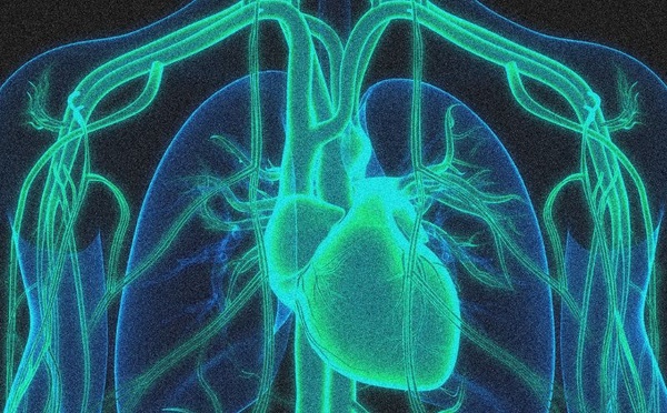 Un coup d’éclat thérapeutique : la thérapie CRISPR qui coupe le « mauvais » cholestérol en deux
