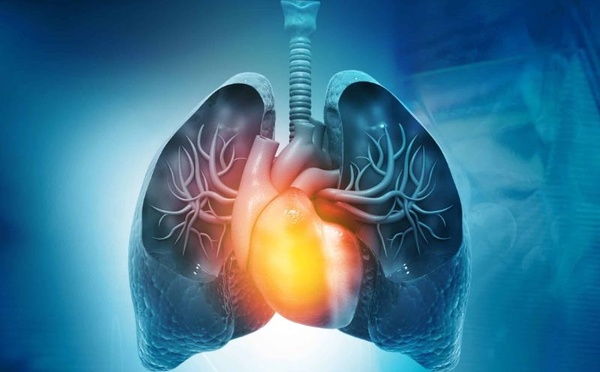 Le retour des maladies respiratoires : pourquoi les bronchiolites et pneumonies progressent fortement chez les enfants marocains en 2025
