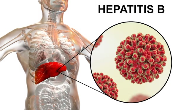 L'OMS consacre les efforts du Maroc dans la maîtrise de l'hépatite B