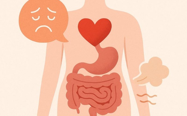 La digestion émotionnelle : comment le stress change la manière dont ton corps absorbe les nutriments