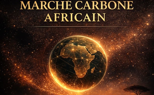 Marché carbone Africain 