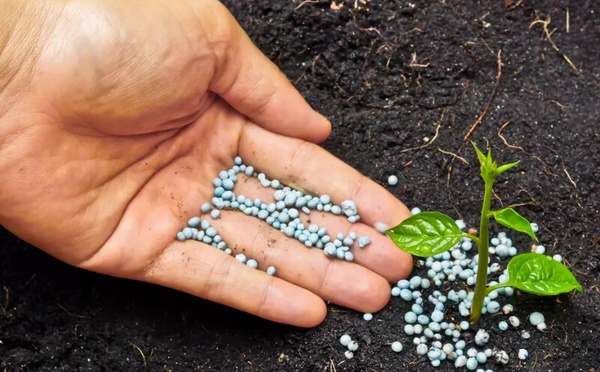 Le Maroc s’impose comme fournisseur stratégique d’engrais pour le Brésil