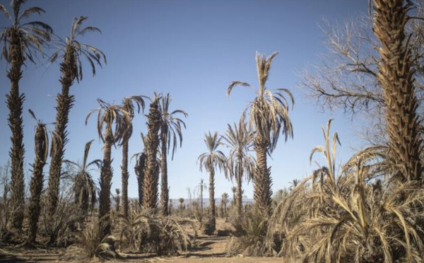 La Banque mondiale débloque 200 M$ pour renforcer la résilience climatique du Maroc