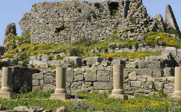 Restauration de Lixus : l’amphithéâtre et le complexe palatial reportés à 2026