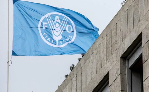 FAO: le Maroc à la vice‑présidence, une voix qui compte