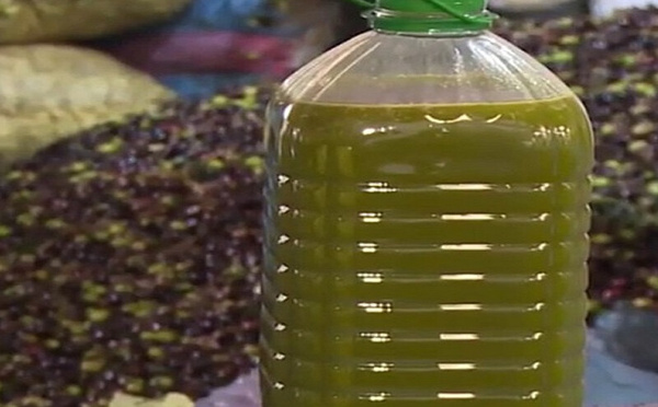Huile d’olive falsifiée : plus de 6.500 litres saisis dans le Nord du Maroc