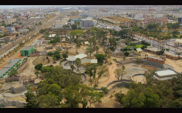 ​Le Zoo de Casablanca rouvre le 22 Décembre : un nouveau départ après des années d'attente