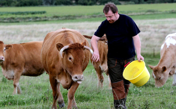 Comment le Crédit Agricole du Maroc irrigue l’agriculture nationale : une inclusion qui prend racine