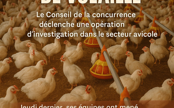 Visite et saisie inopinée auprès de cinq entités du secteur avicole