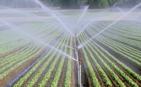 Maroc: Une économie résiliente face aux défis hydriques, portée par l’agriculture, le tourisme et l’investissement