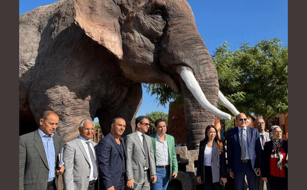 Casablanca : le zoo d’Aïn Sebaâ rouvre après réhabilitation