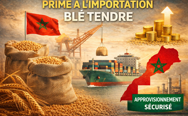 ​Blé tendre : le Maroc instaure une prime à l’importation pour sécuriser son approvisionnement
