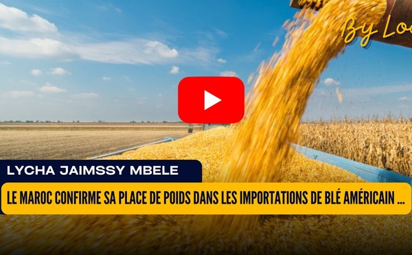 [vidéo] : Le Maroc confirme sa place de poids dans les importations de blé américain en Afrique en 2025