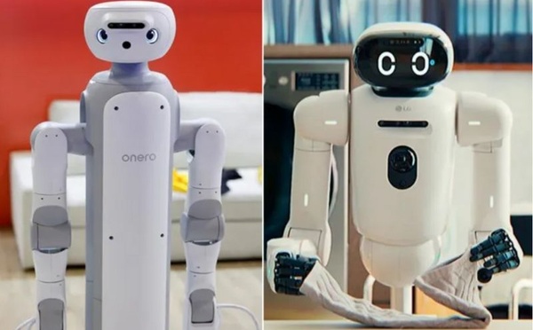 Las Vegas signe l’acte de naissance des compagnons domestiques polyvalents