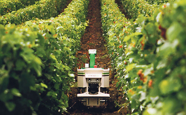 Taza: près de 200 MDH mobilisés pour une agriculture durable et inclusive sous la bannière Génération Green