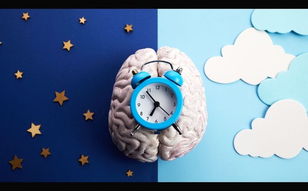 Le sommeil, thérapie quotidienne du cerveau: l’alerte d’une experte allemande