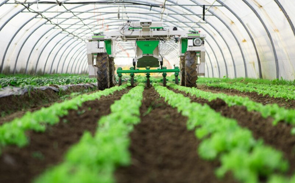 Génération Green à mi-parcours : quels bilans pour l’agriculture marocaine ?