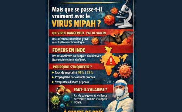 ​Mais que se passe-t-il vraiment avec le virus Nipah ?