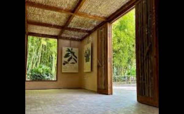 La Fondation Jardin Majorelle lance un concours national dédié aux jeunes architectes marocains