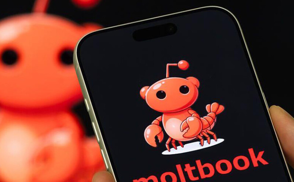 Moltbook, premier réseau social 100 % IA, interdit aux humains