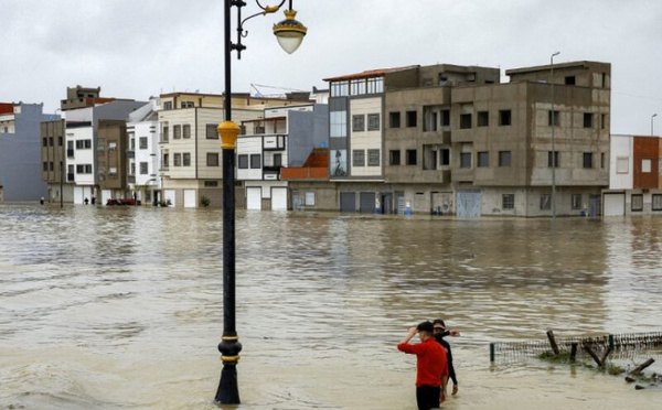 Inondations dans le Gharb : le bétail en danger, les agriculteurs lancent un cri d’alarme