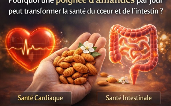 Pourquoi une poignée d’amandes par jour peut transformer la santé du cœur et de l’intestin ?