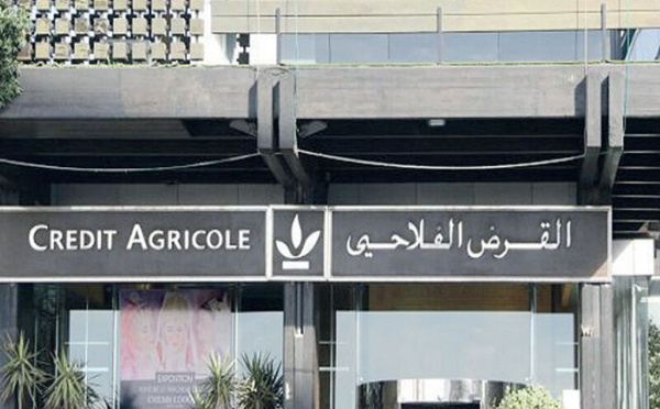 Crédit Agricole du Maroc : un soutien décisif aux agriculteurs sinistrés après les intempéries
