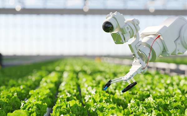 Agriculture durable : Rabat et Canberra s'allient face au défi climatique