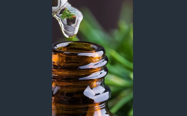 Un mélange d’huiles essentielles booste mémoire et attention