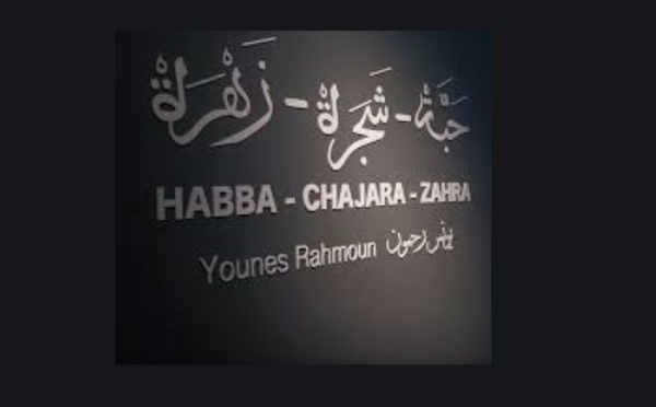 Younes Rahmoun au MMVI: minimalisme et élévation spirituelle