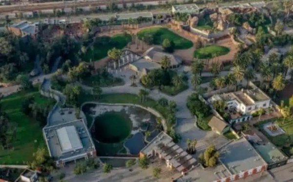 Le zoo de Aïn Sebaâ enregistre 76 000 visiteurs en janvier