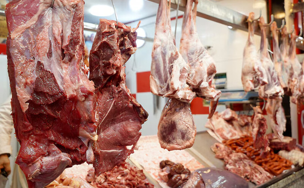 Casablanca : les abattoirs signent une performance record malgré la crise de la viande rouge
