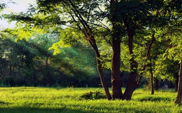 Ramadan : Dar Bouazza inaugure deux nouveaux espaces vergers pour offrir des lieux de respiration urbaine