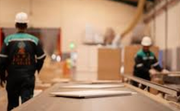 Panneaux de bois : la bataille tarifaire s’ouvre au Maroc