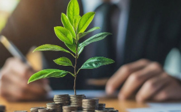 Startups vertes : le GCIP Maroc privilégie la qualité technique