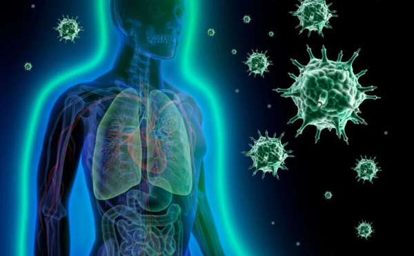 Le Maroc premier au World Immunity Index 2026 grâce à son mode de vie et son climat