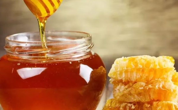 Miel marocain : entre moteur économique et défis d’exportation