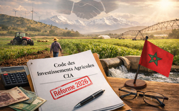 ​Le futur Code des investissements agricoles (CIA) sera-t-il la nouvelle charte du développement agricole marocain ?