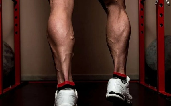 Le mollet, “deuxième cœur”: un acteur clé de la longévité