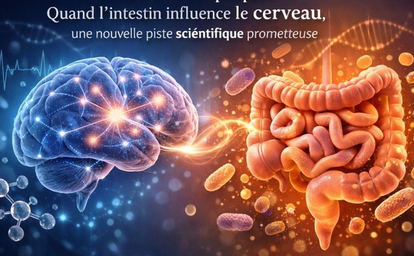 Sclérose en plaques