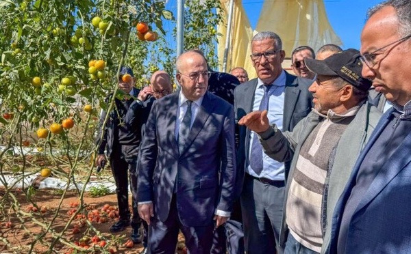 Chtouka Aït Baha : 1.500 hectares de serres agricoles touchés par des vents violents